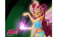 winx 