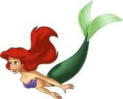 ariel