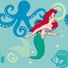 ariel