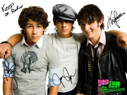 jonas brothers