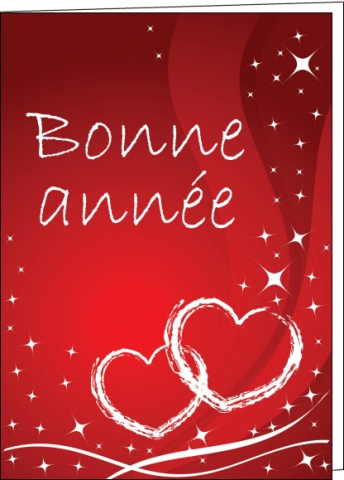 ~ Bonne anne 2011!!