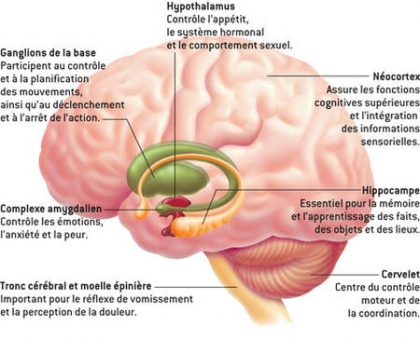 consquence