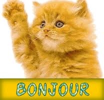 bonjour =D