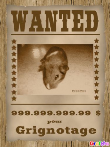 wanted