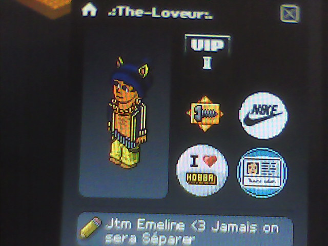 The-Loveur : Moi dans Hobba ( Attention Pas Habbo )